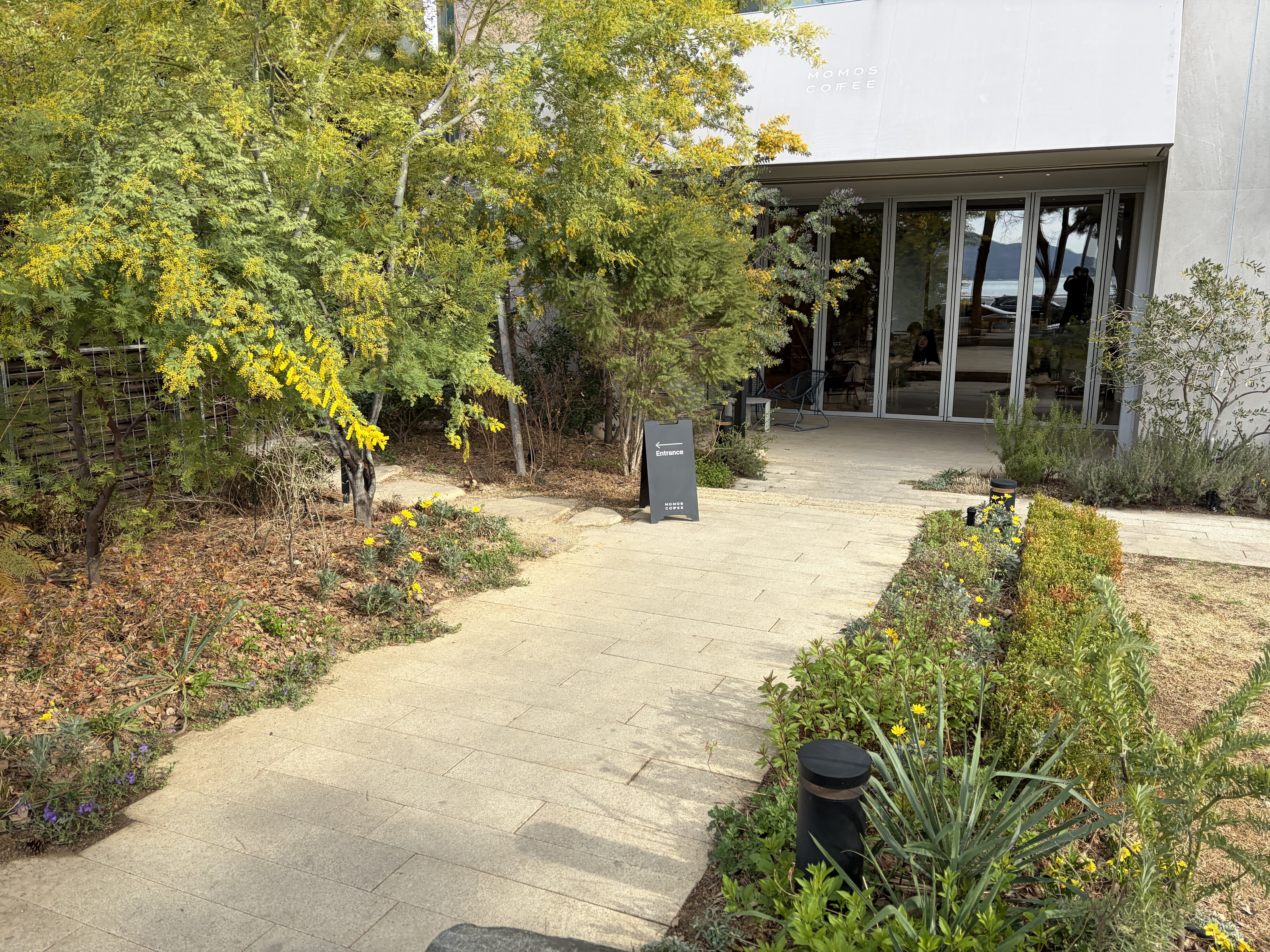 모모스커피 입구 가는 길