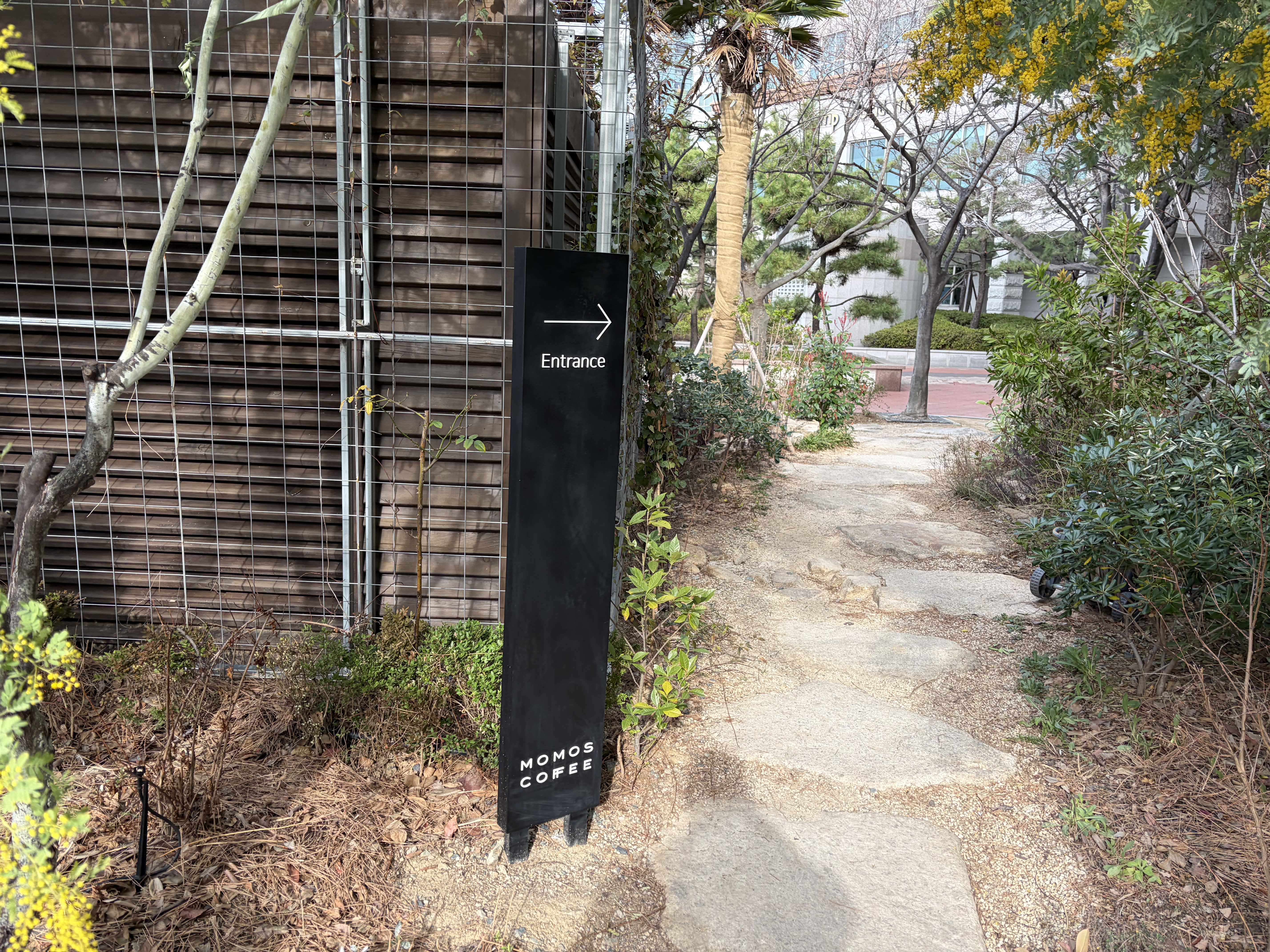 모모스커피 입구 안내